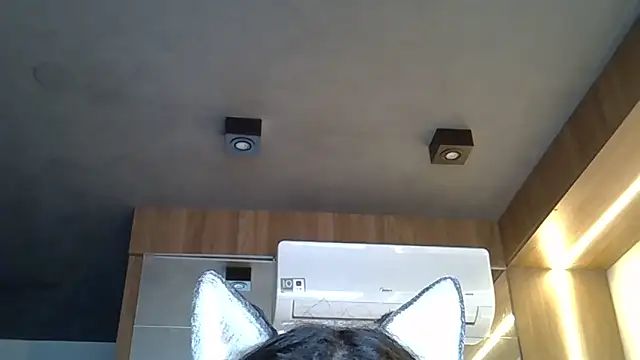 Snapshot of Skinny-Kitten chatting on November 1, 2025, 9:33 am Skinny-Kitten online show from November 1, 2025, 9:33 am