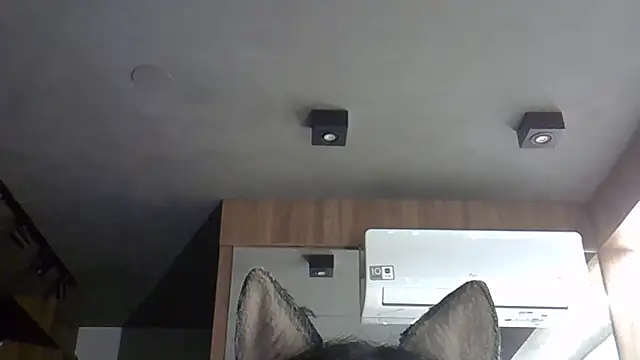 Snapshot of Skinny-Kitten chatting on November 5, 2025, 3:39 am Skinny-Kitten online show from November 5, 2025, 3:39 am