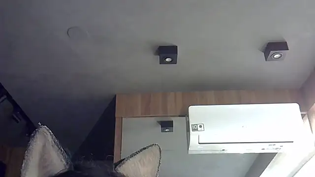 Snapshot of Skinny-Kitten chatting on November 13, 2025, 2:38 pm Skinny-Kitten online show from November 13, 2025, 2:38 pm