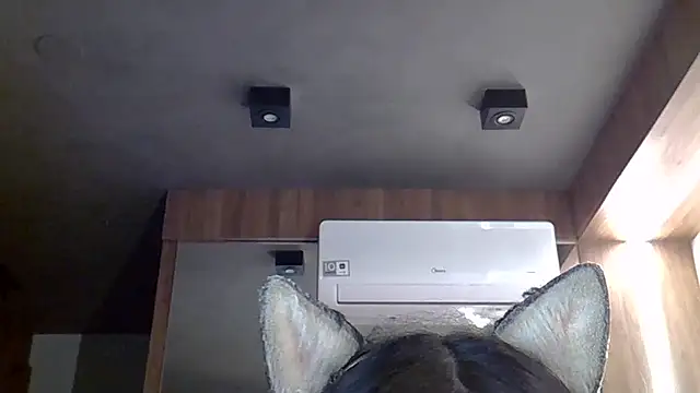 Skinny-Kitten online show from December 19, 2025, 11:23 pm