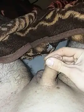 Snapshot of Adamvarga0318 chatting on January 6, 2025, 1:09 am Adamvarga0318 online show from January 6, 2025, 1:09 am