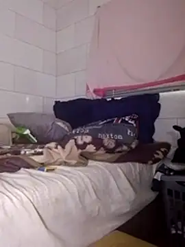 Snapshot of Stormward chatting on March 25, 2026, 5:24 am Stormward online show from March 25, 2026, 5:24 am