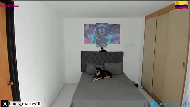 Snapshot of Louis_marley__ chatting on February 13, 2025, 8:13 pm Louis marley online show from February 13, 2025, 8:13 pm