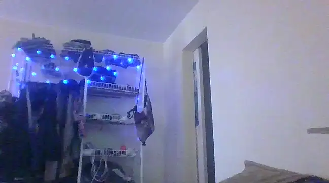 alphaswitchard online show from December 30, 2024, 2:40 pm