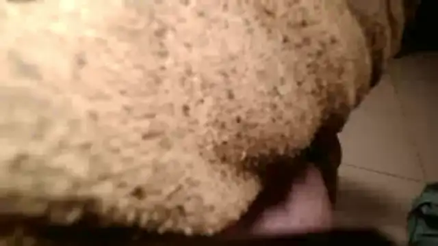 Dan3106x online show from March 19, 2026, 7:07 pm