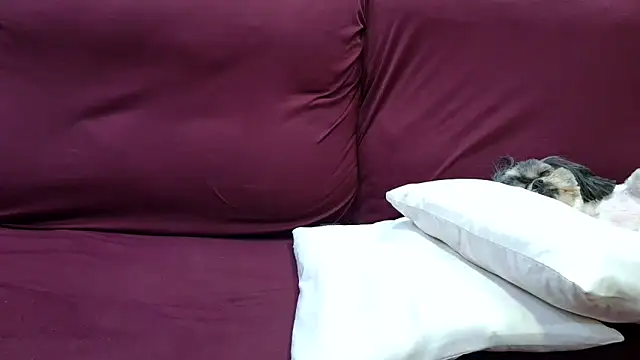 Kellynha Sweet online show from December 18, 2025, 2:06 am