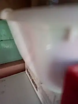 Snapshot of Rayito6969@xh chatting on February 5, 2026, 3:38 pm Rayito6969xh online show from February 5, 2026, 3:38 pm