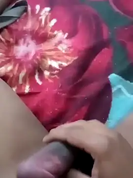 olvis m online show from February 8, 2025, 1:54 pm