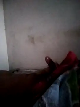 olvis m online show from March 17, 2026, 12:41 pm