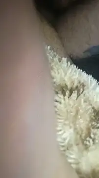 Bigcockmexi13 online show from July 27, 2026, 3:13 am