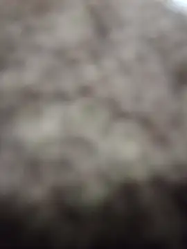 Wedgie boy online show from March 1, 2026, 12:12 am