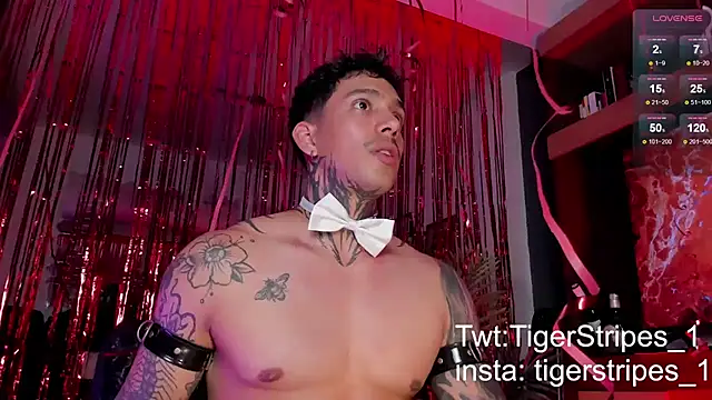 Snapshot of TigerStripes1_ chatting on February 15, 2025, 12:15 am TigerStripes1 online show from February 15, 2025, 12:15 am