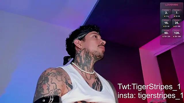 Snapshot of TigerStripes1_ chatting on March 11, 2025, 10:42 pm TigerStripes1 online show from March 11, 2025, 10:42 pm