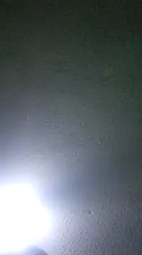 Snapshot of Elcogetuquieres chatting on January 8, 2025, 5:16 am Elcogetuquieres online show from January 8, 2025, 5:16 am